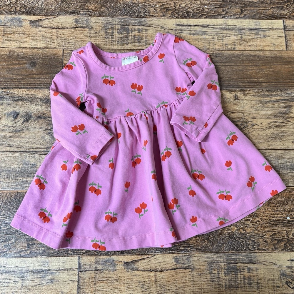 Hanna Andersson Long Sleeve Floral Dress Baby Girl 6-12m Cotton Garden